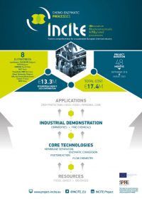 incite-poster incite-poster